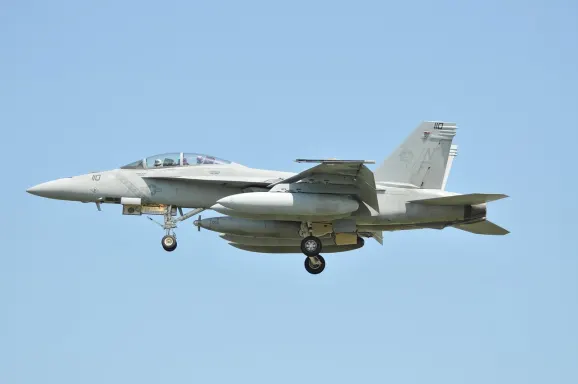 카지노 크립토 와일드 지원